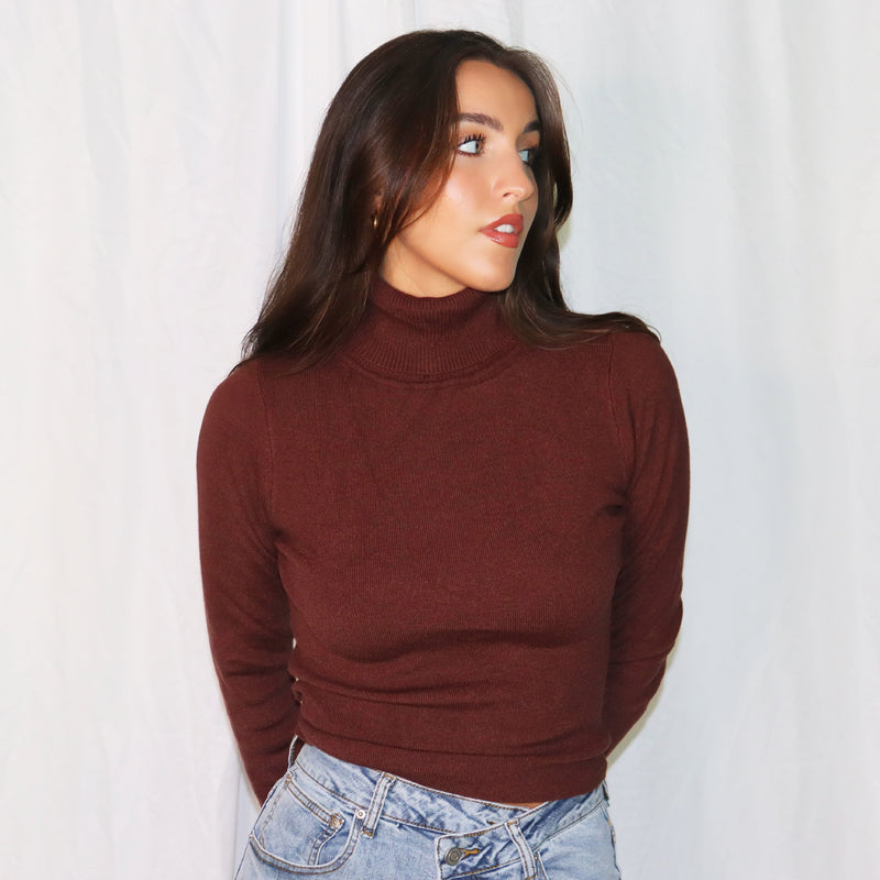 The Cocoa Turtleneck